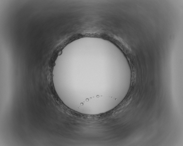X0000113051350200908271046