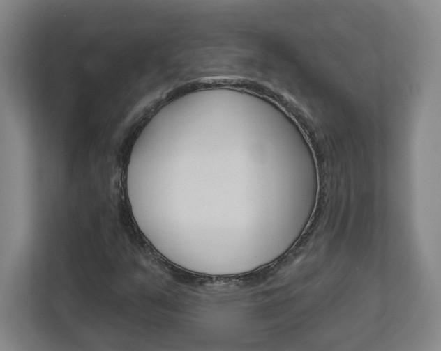 X0000113051351200908271046