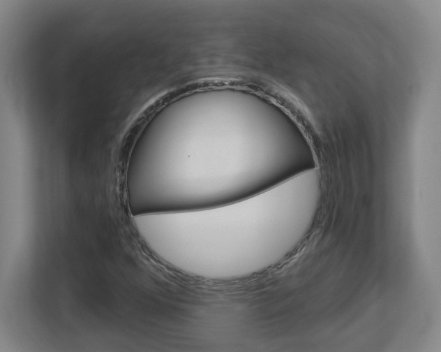 X0000113051352200908271046