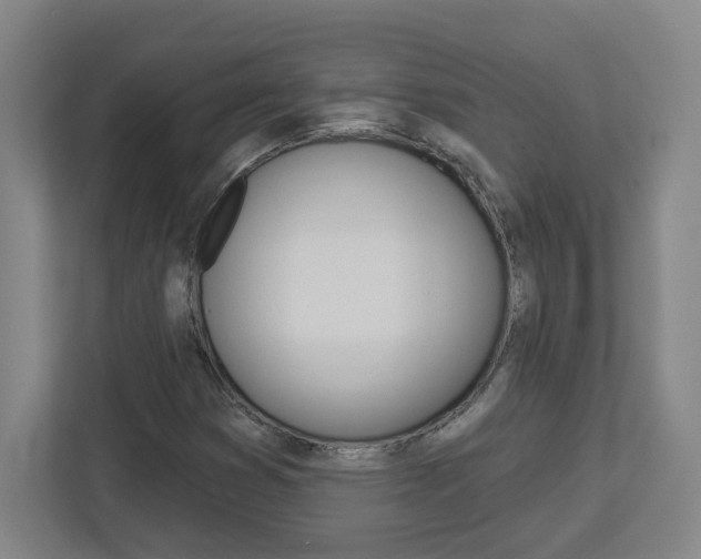 X0000113051353200908271046