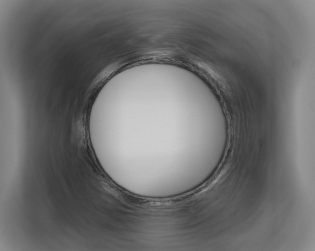 X0000113051354200908271046