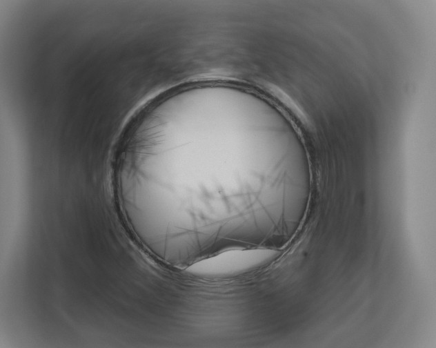 X0000113051356200908271046