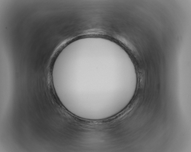 X0000113051358200908271046