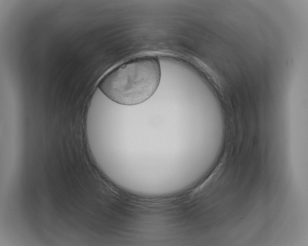 X0000113051361200908271046