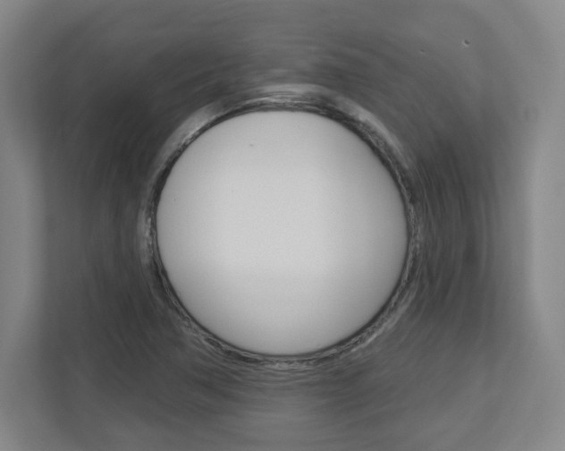 X0000113051362200908271046
