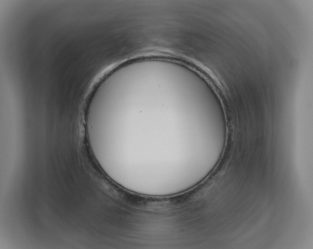 X0000113051363200908271046