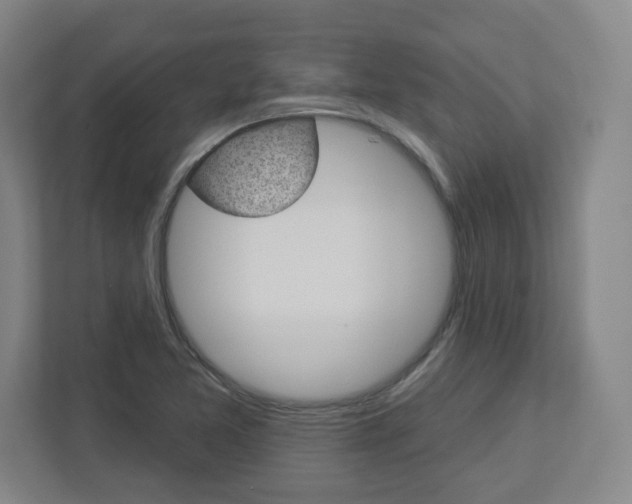 X0000113051365200908271046