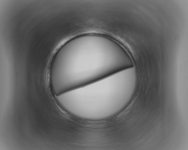 X0000113051367200908271046
