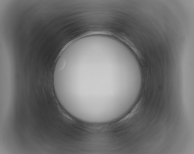 X0000113051369200908271046