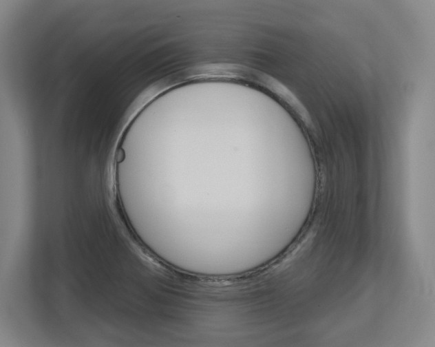 X0000113051370200908271046