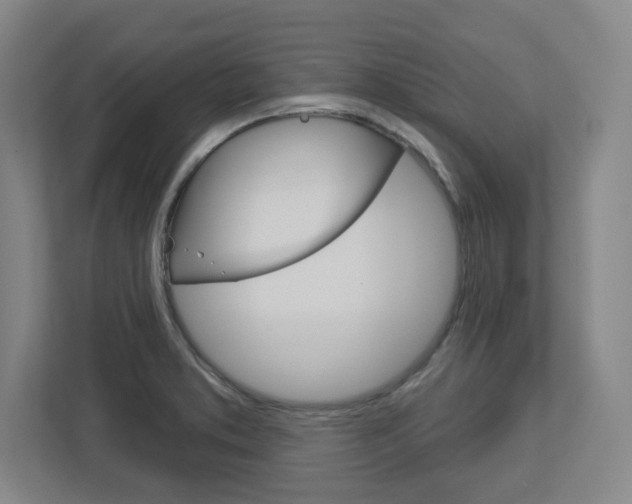 X0000113051373200908271046