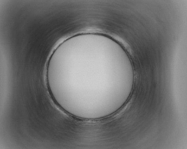 X0000113051374200908271046