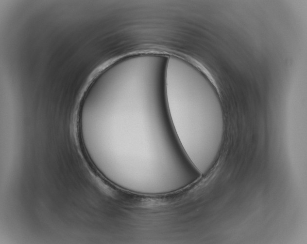 X0000113051379200908271046