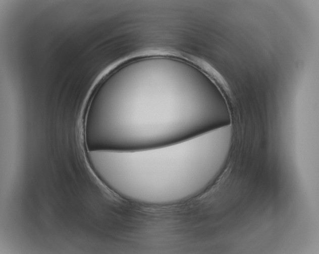 X0000113051380200908271046