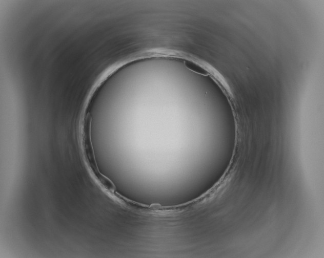 X0000113051381200908271046