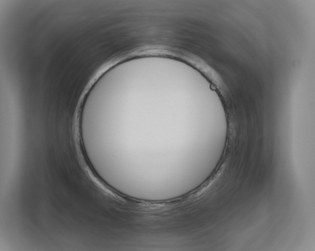 X0000113051382200908271046