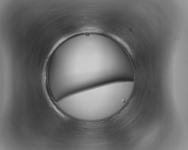 X0000113051383200908271046