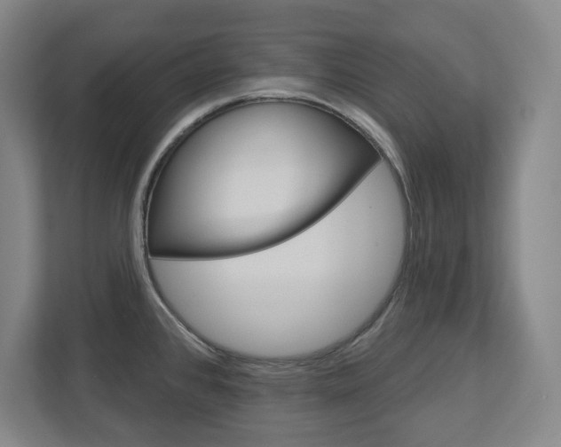 X0000113051384200908271046