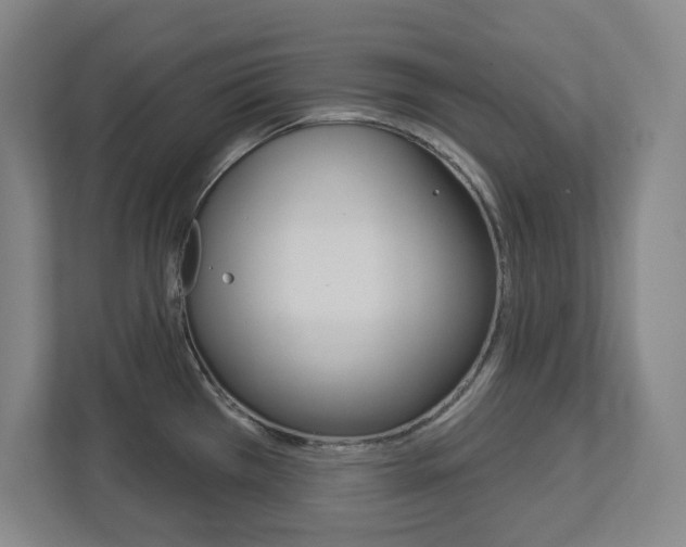 X0000113051385200908271046