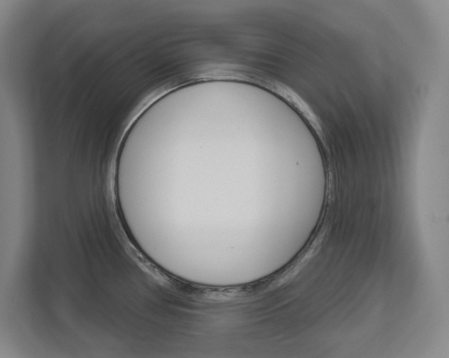 X0000113051386200908271046