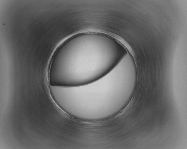 X0000113051388200908271046