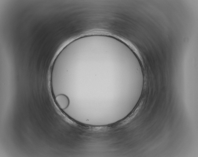 X0000113051390200908271046