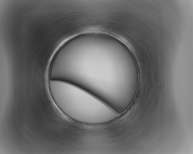 X0000113051392200908271046