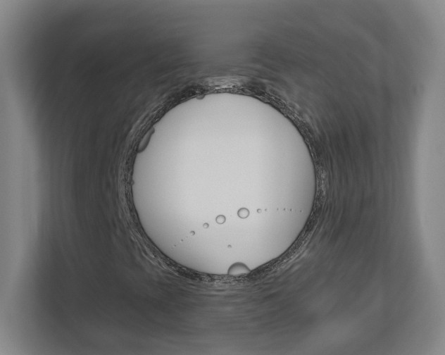 X0000113051393200908271045
