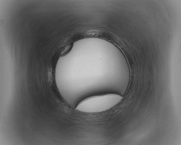 X0000113051394200908271045