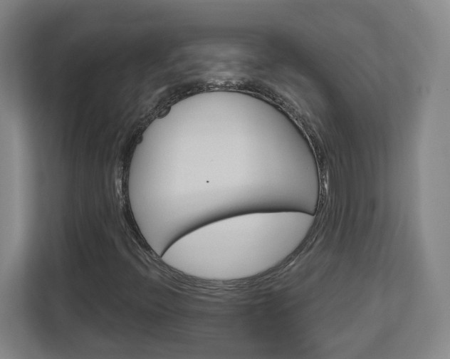X0000113051396200908271045