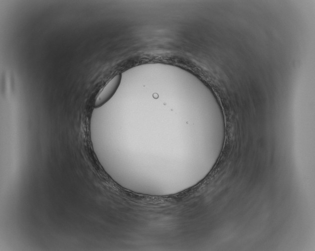 X0000113051397200908271045