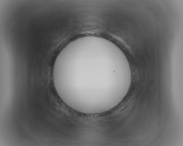 X0000113051399200908271045