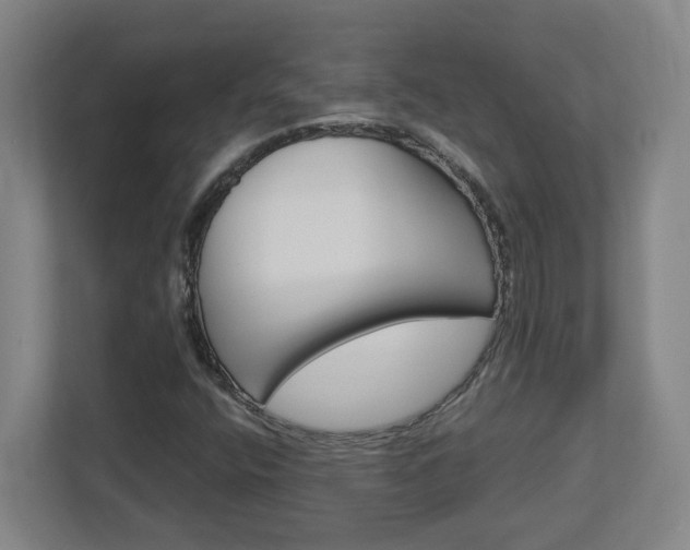 X0000113051400200908271045