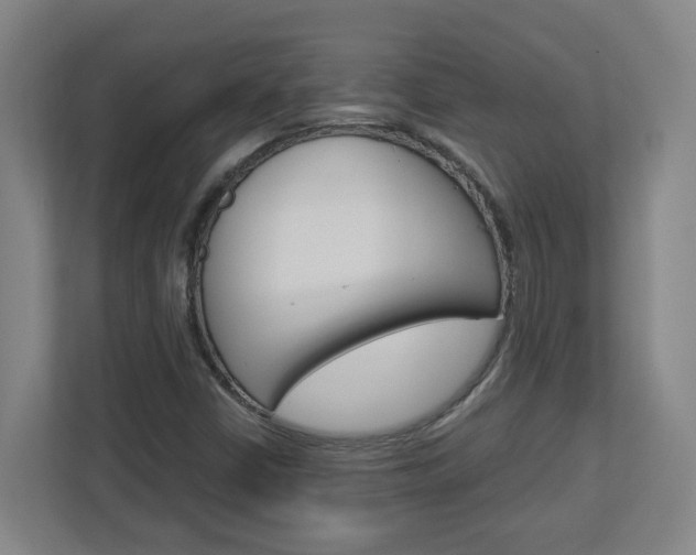 X0000113051402200908271045