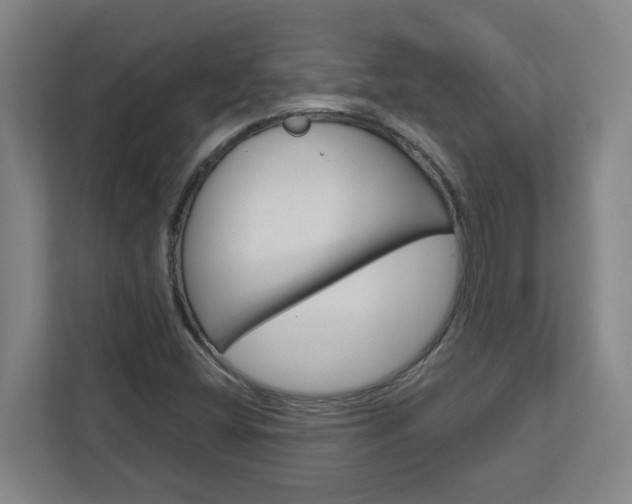 X0000113051404200908271045