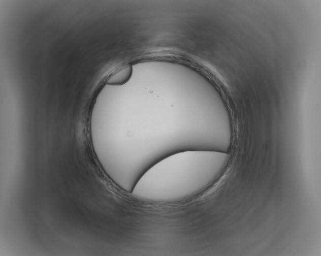 X0000113051405200908271045