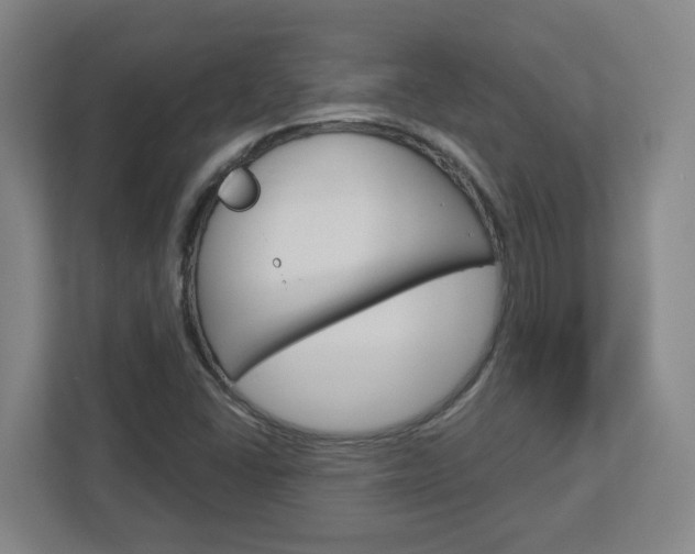 X0000113051406200908271045