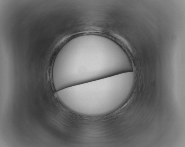 X0000113051407200908271045