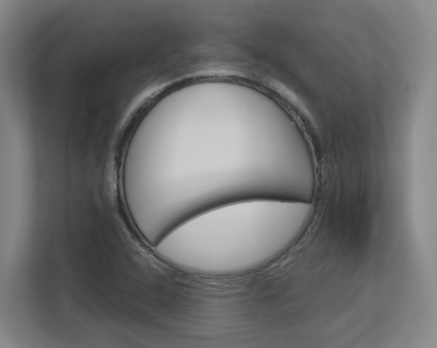 X0000113051408200908271045