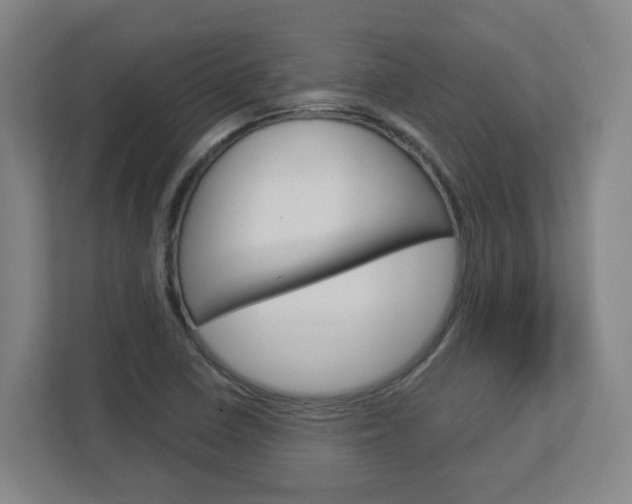 X0000113051410200908271045
