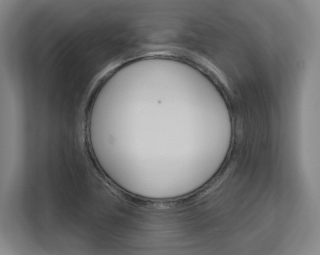 X0000113051411200908271045