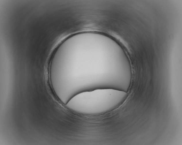 X0000113051415200908271045