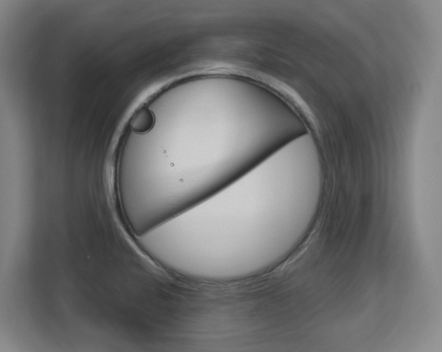 X0000113051424200908271045