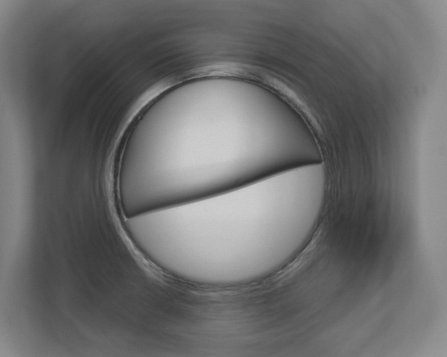 X0000113051426200908271045