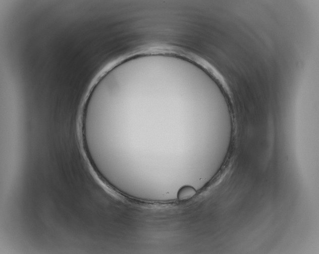 X0000113051429200908271045