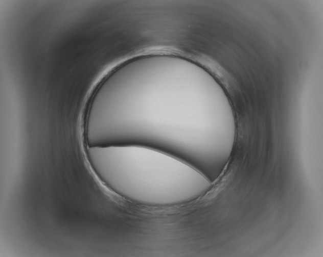 X0000113051430200908271046