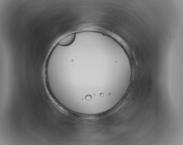 X0000113051431200908271046