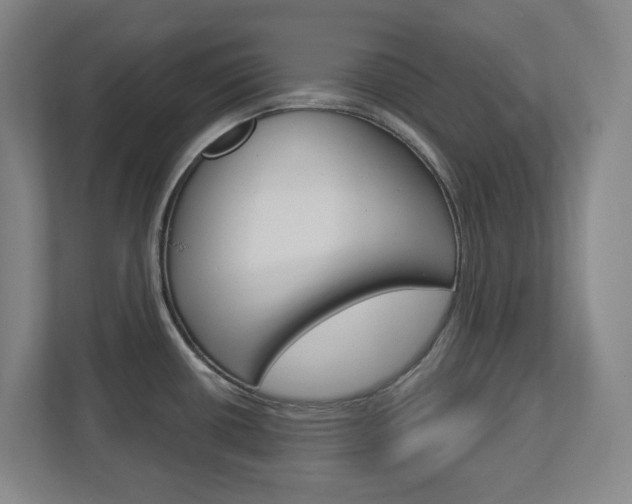 X0000113051434200908271046