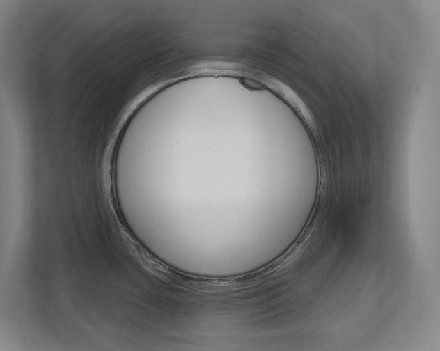 X0000113051435200908271046