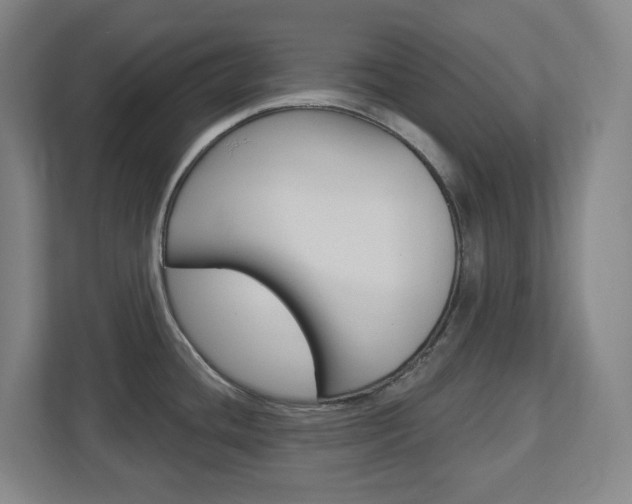 X0000113051436200908271046